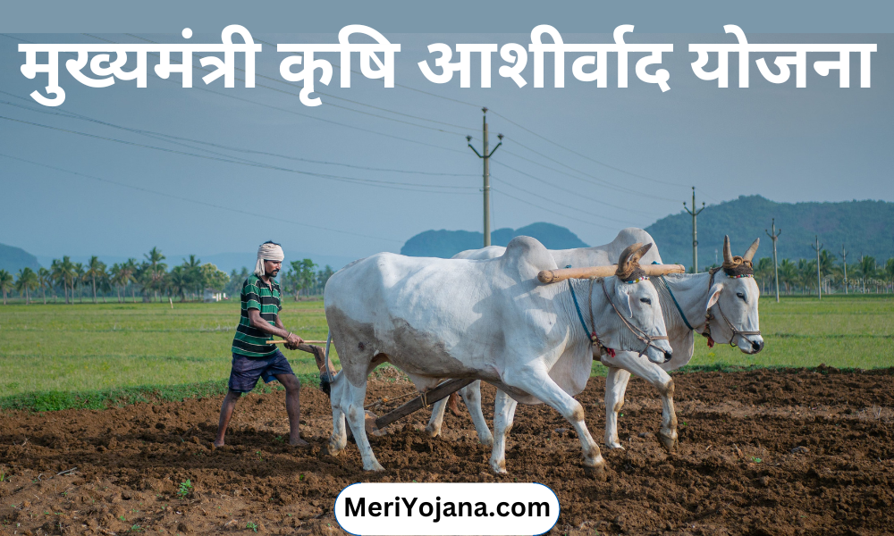 Mukhyamantri Krishi Ashirwad Yojana